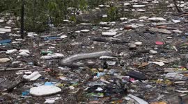 Dead Python found in a lake filled with garbage and plastic waste