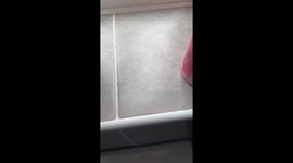 I wasn’t expecting to see that!