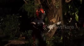 Australia: Storms kill one woman, leave 120,000 without power