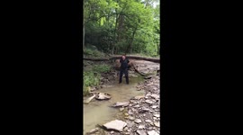 Personal trainer swaps dumbbells for lifting tree trunks in forest