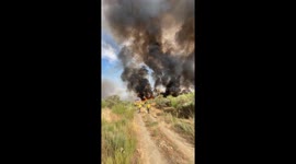 Portugal: Forest fire forces firefighters to retreat as intense flames threaten their safety