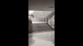 Cat almost sweeps away by strong wind