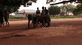 Sissala cultural dance 2024 which  indicates how the people  dance in upper west  region of Ghana