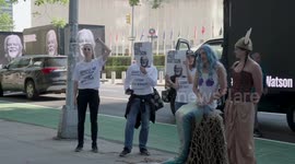 Demonstration in front of the UN demands the release of Paul Watson, just days before Denmark decides on his extradition. September 5th will determine the legal future of ocean defender Paul Watson, who is unjustly imprisoned in Nuuk, Greenland.