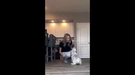 Dog Celebrates After Getting Fake Injection