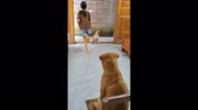 temp