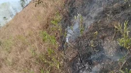Ecuador: Colombia and Peru help fight a forest fire in southern Ecuador: the flames have already consumed 7,600 hectares