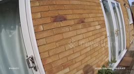 UK: Cannabis Farmer Behind Bars After Community Sniffs Out Massive Grow Operation