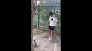 temp