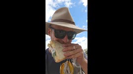 Rainbow birds steal sandwich at Theresa Creek Dam, Australia