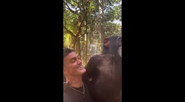 Limbani the chimpanzee smiles in video shared by caretaker