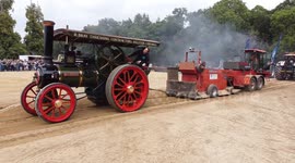 A steam traction engine having a go at tractor pulling at the Shrewsbury steam rally.