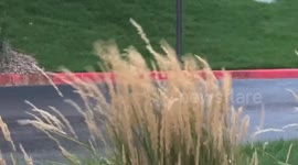 Rain In Arapahoe County