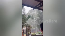 Huge tree uprooted by storm in northern Thailand