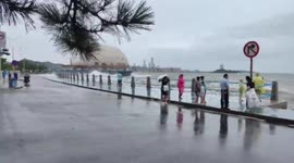 Tourist watching sea knocked over by huge wave