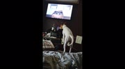 temp