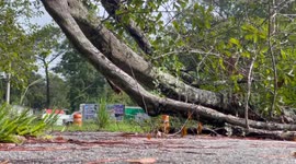 Severe Rains in Florida