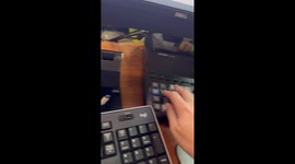 Cat Is a Micro-Meownager