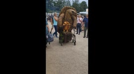 Tortoise costume and wheelchair parade in Ludwigslust, Germany