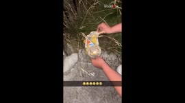 Dr. Dolittle Jr. cries after accidentally drowning mouse while trying to save it