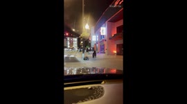 Hungry bear cub spotted outside restaurant while searching for next meal