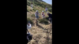 Fighting marmots create a spectacle for hikers in China