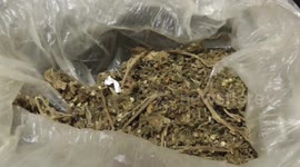 Rehab Center Head in Indonesia arrested for domestic violence, drug possession