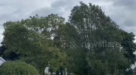 Windy Day in Syracuse