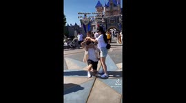 Disneyland proposal