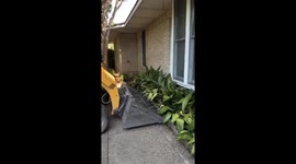 Tractor loader hits window during landscaping job in Dallas