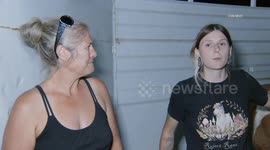 United States: San Bernardino Pig and Horses Evacuated From The Line Fire