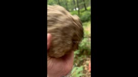 Adventure-driven son's first-ever geode hunt ends with a spectacular find