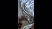 temp