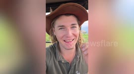 Stunning video shows eight lions lounging in a tree as they scout for fresh prey