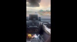 Horses fleeing from Davis Fire in Washoe County near Greiger Grade area September 7, 2024