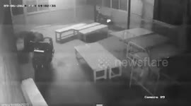 Leopard caught on CCTV rampaging through hospital