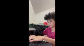 Clingy black cat attempts cuddle from busy owner