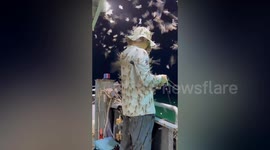 Thousands of dragonflies swarm fishermen in China