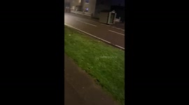 Mother and daughter stun as a moving sheep crosses their path at night