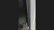 temp