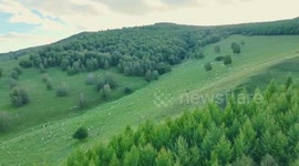 Explore well-preserved natural beauty of China's Arxan with British vlogger