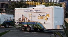 Evacuation Center Activity, San Bernardino