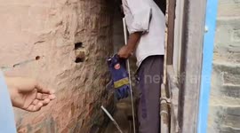 Snake catcher rescued two common kraits snake in Toilet wall hole in Northern India