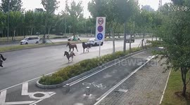 Chinese police turned into 