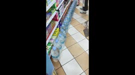 Pet cat hides on the toothpaste shelf at supermarket