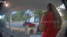 My Cane Corso Spotted a Squirrel and I Went Flying