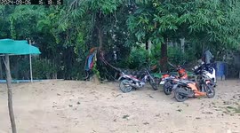 Tree branch blown by storm whacks passerby on the head