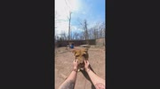 temp