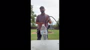 temp
