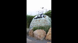 One-month milestone for baby panda twins